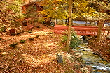 Photo of Bear Creek