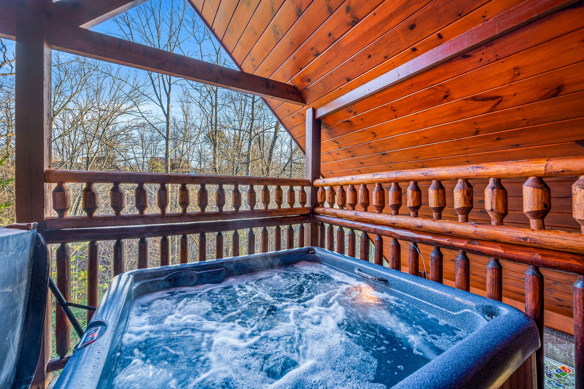 Jackson Tn Paw Spa And Retreat Jackson's Place Dog Daycare