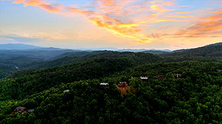 Photo of Knotty Pine Delight