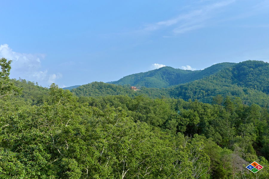 Paradise Point Pool Lodge - Sevierville Cabin - Smoky Mountains