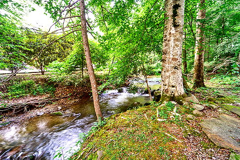 Photo of Scenic Creek