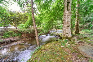 Scenic Creek