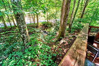 Photo of Shady Creek