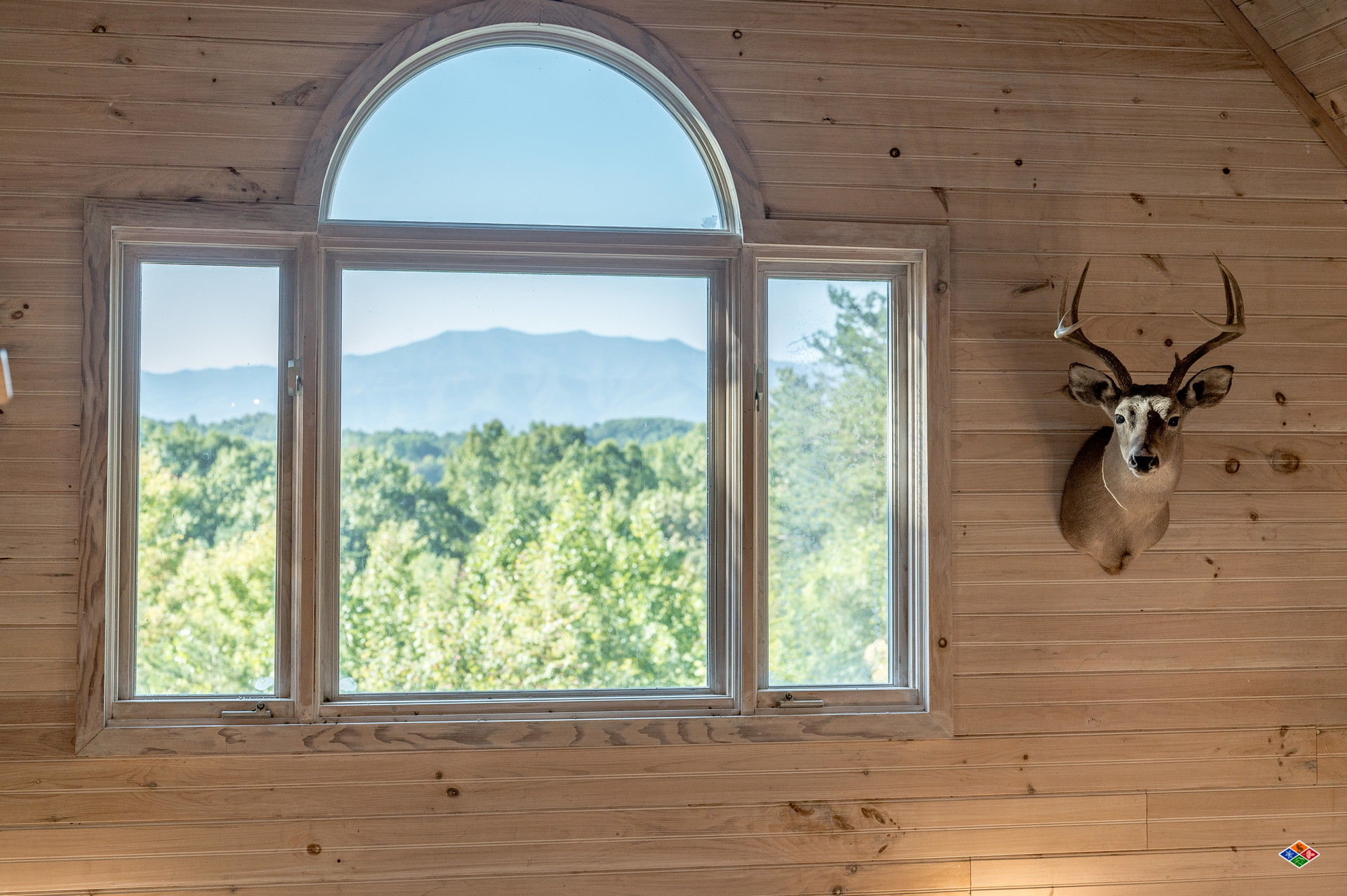 Sunshine Cabin