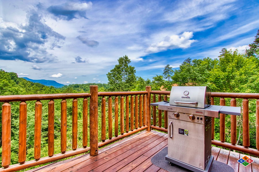 Amazing Indoor Pool Cabin