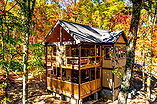 Photo of Treehouse Swim Cabin