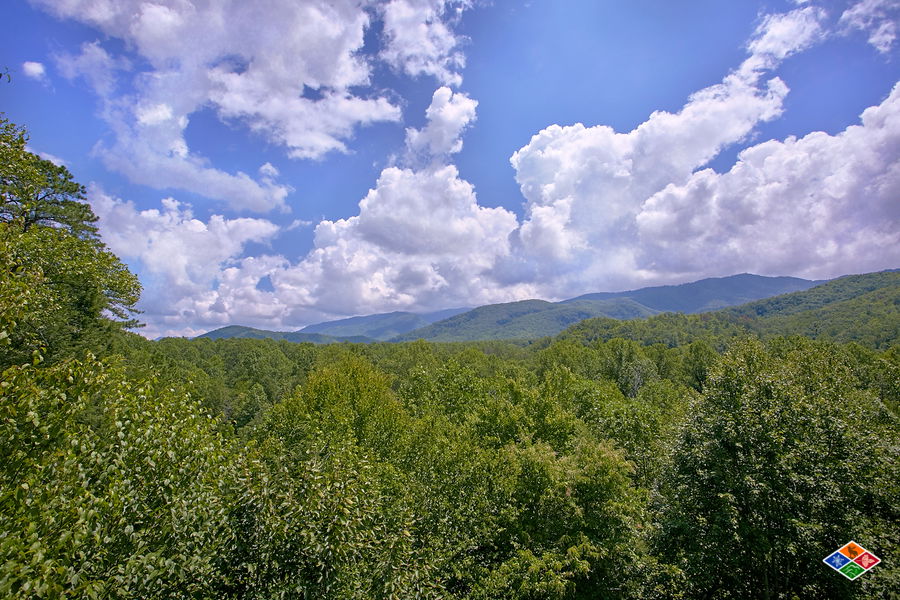 Tree Tops - Gatlinburg Cabin - Smoky Mountains