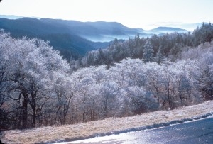 Winter in the National Park