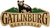 Elk Springs Resort Cabin Rentals in Gatlinburg, Tennessee
