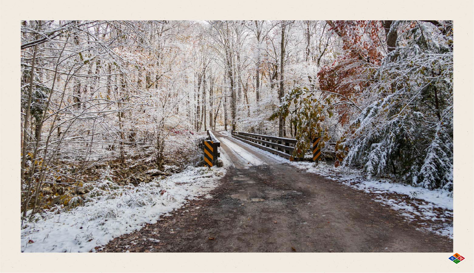 Bridge in the middle of a snowy forest