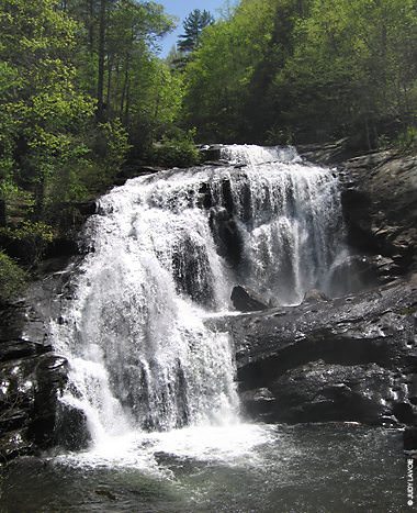 Scenic Drives in the Smoky Mountains | Elk Springs Resort