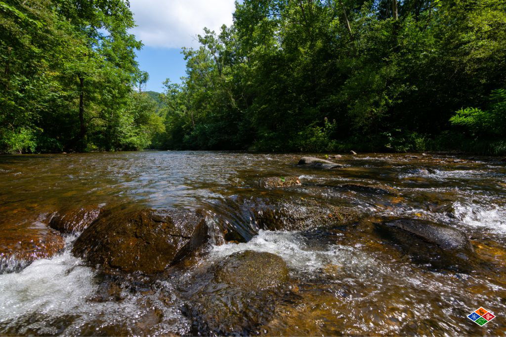 Learning to Crack the Code Trout Fishing in the Smokies or Where Ever