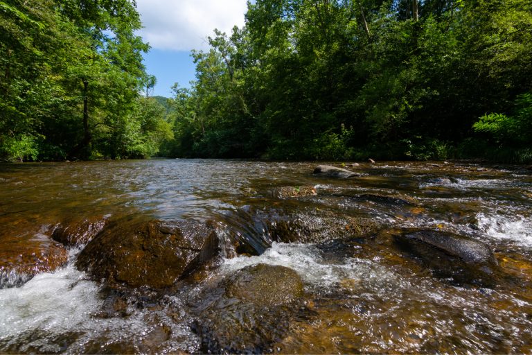 Fly Fishing In The Smokies The 8 Best Spots