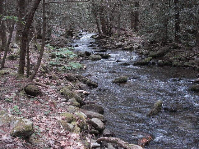 anthony-creek