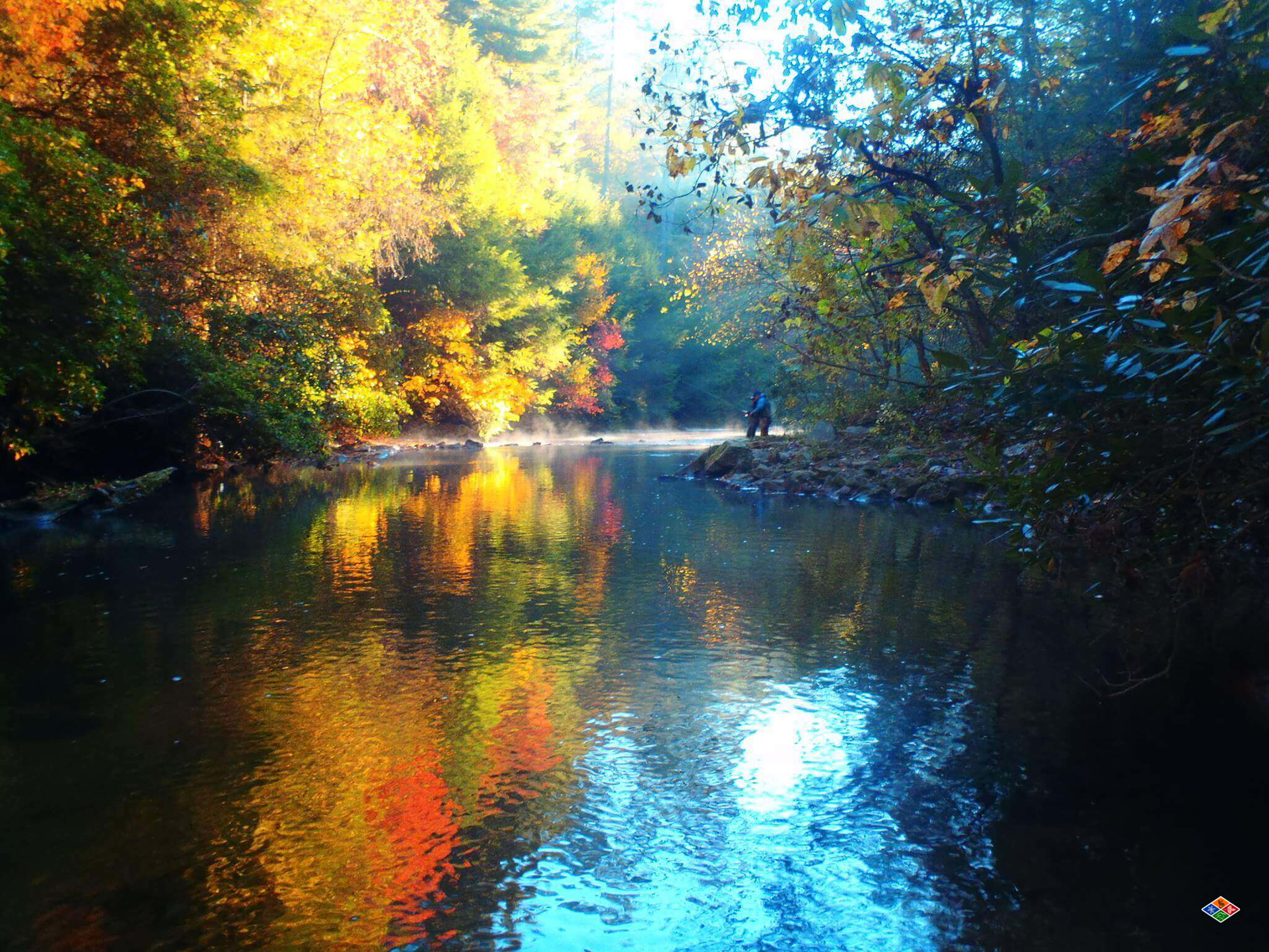 Area to fish in the smoky mountains