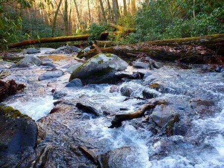 little pigeon river rapids