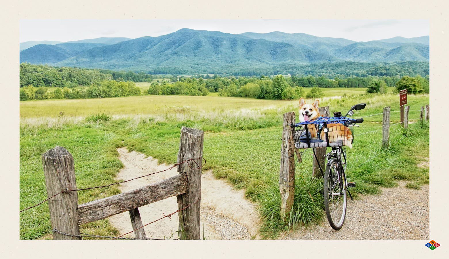 Picture of a bike with a dog in a basket leaned up against a fence with the Smoky Mountains in the background
