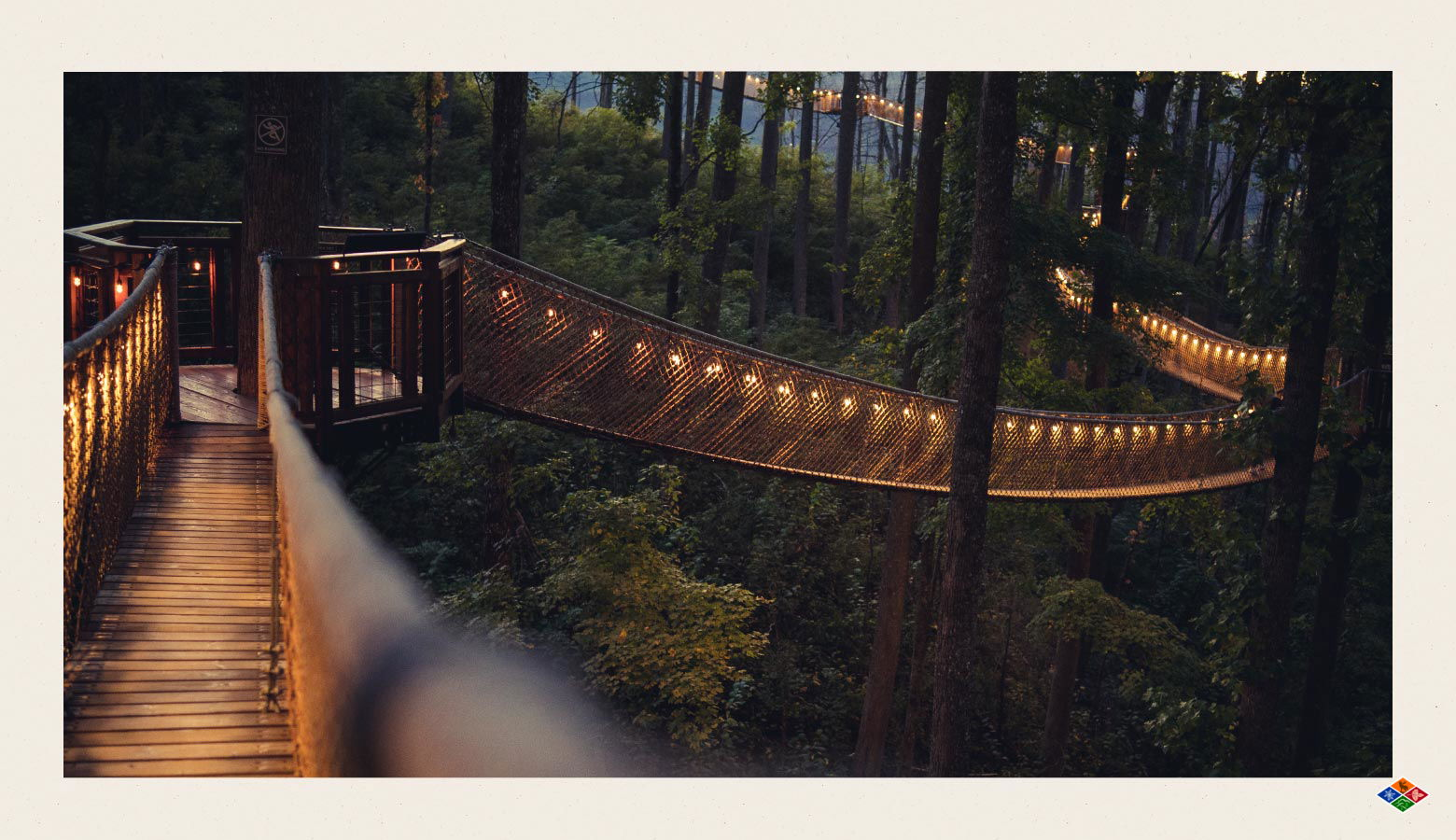 Photo of a tree bridge lit by twinkle lights