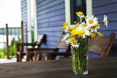 Picture of flowers at a cabin in the Great Smoky Mountains