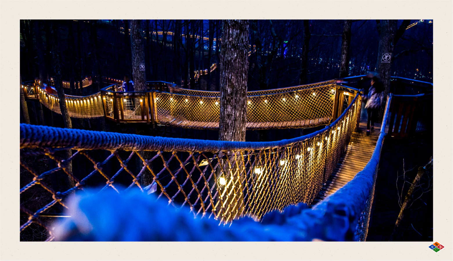 Well-lit outdoor walking bridge suspended in the trees at night