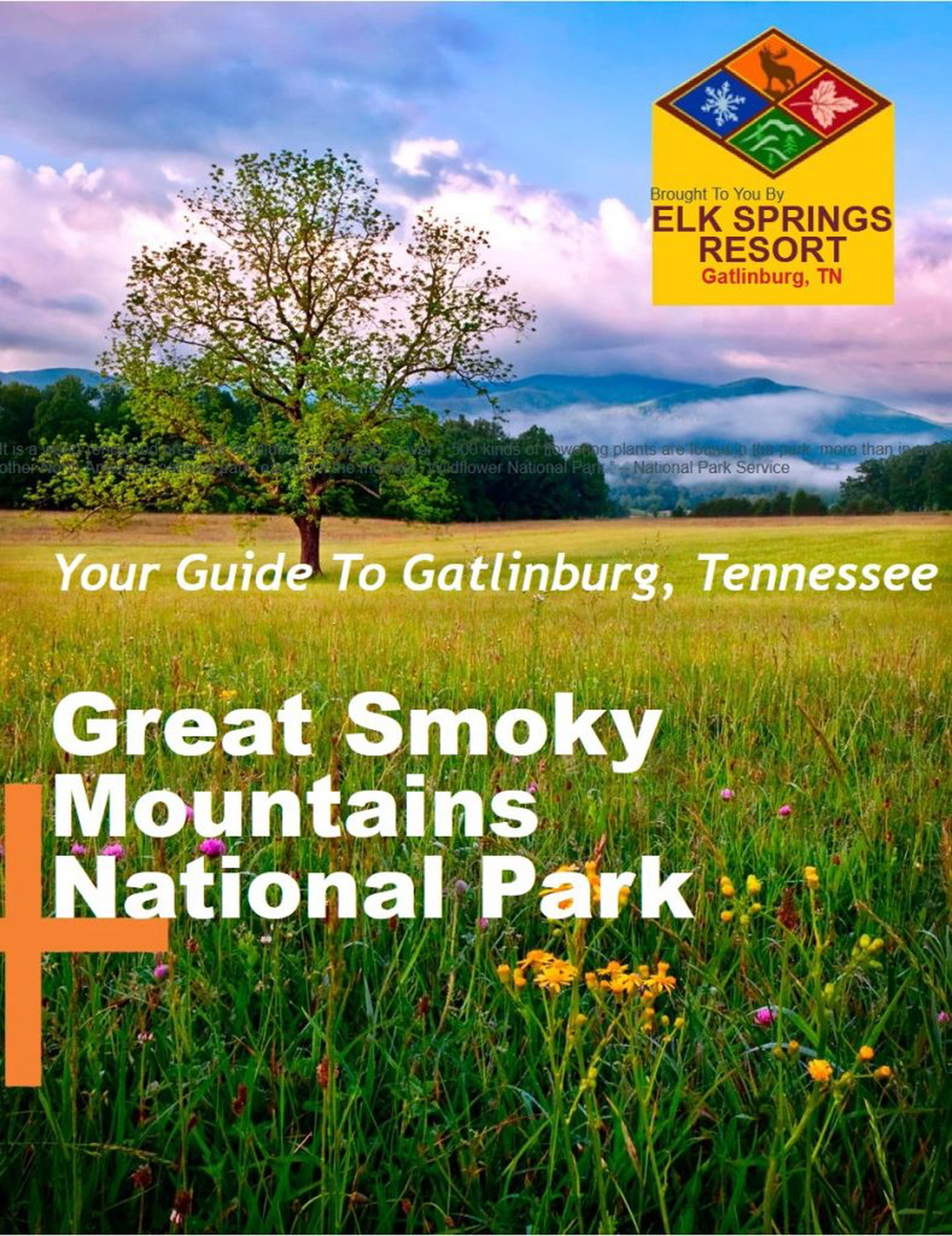 Gatlinburg Tennessee Travel Guide