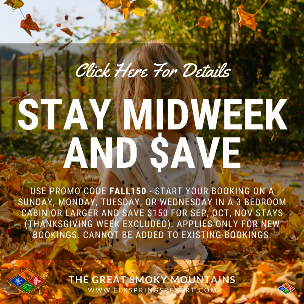 Midweek fall cabin special