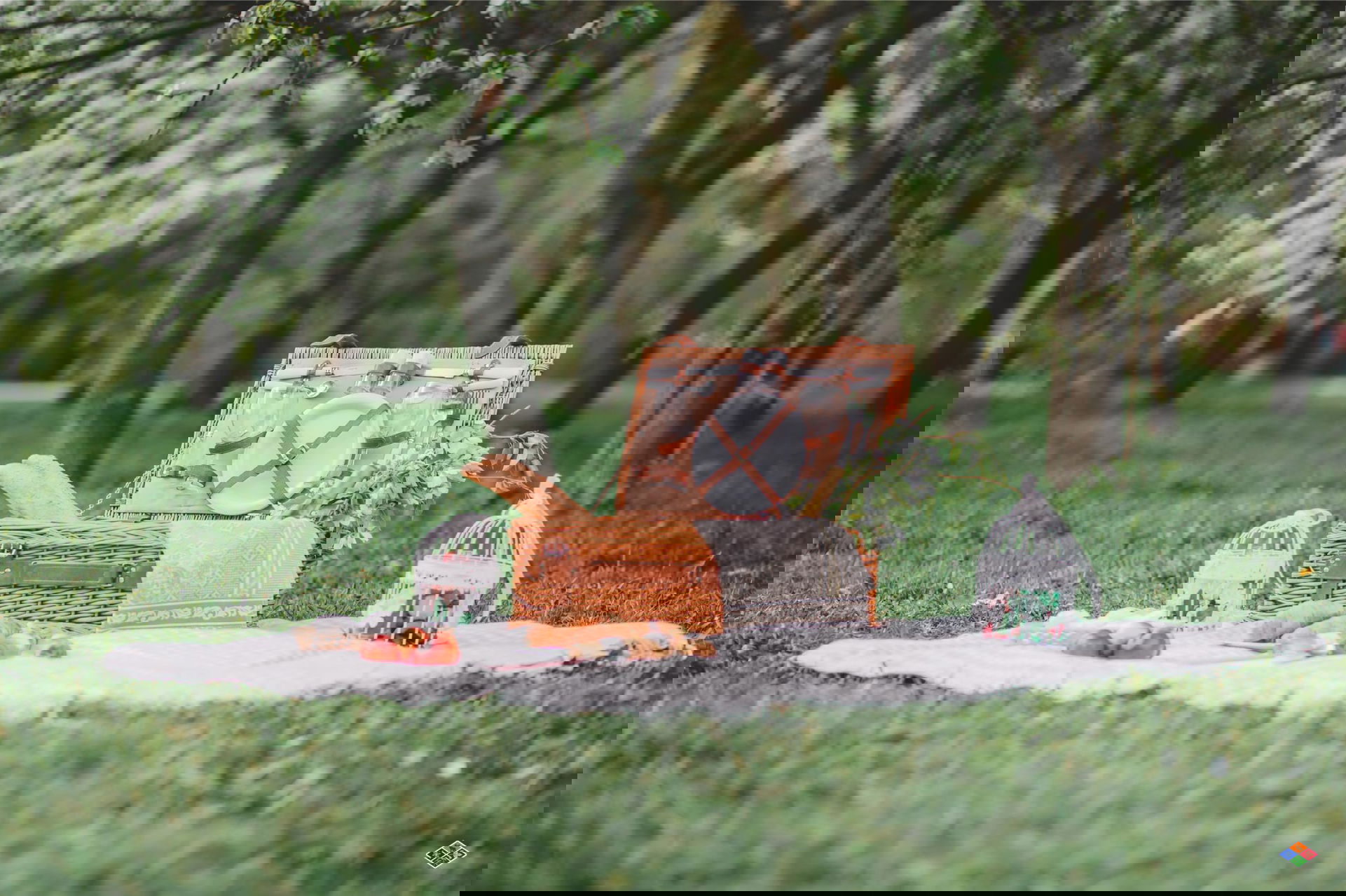 Your Top 5 Smoky Mountain Gatlinburg Picnic Areas