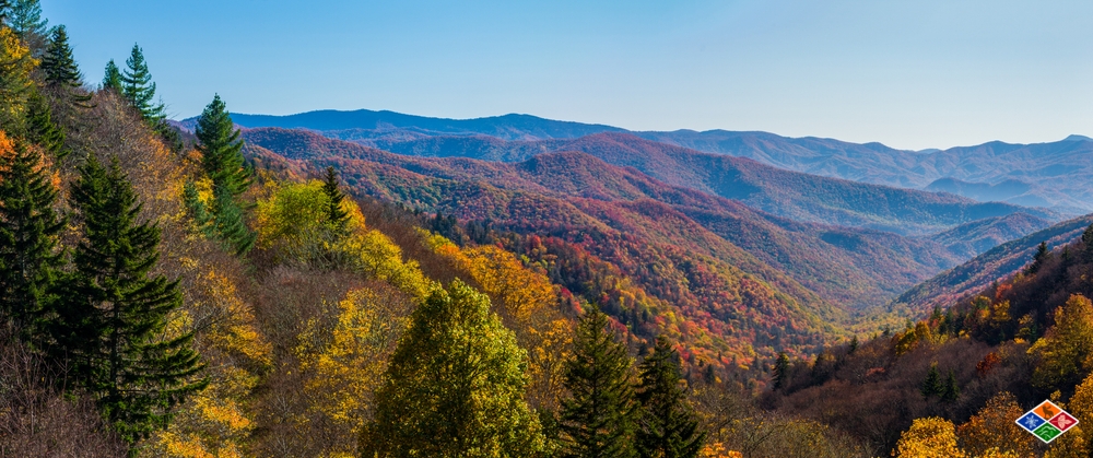 Fall foliage in the Great Smoky Mountains National Park