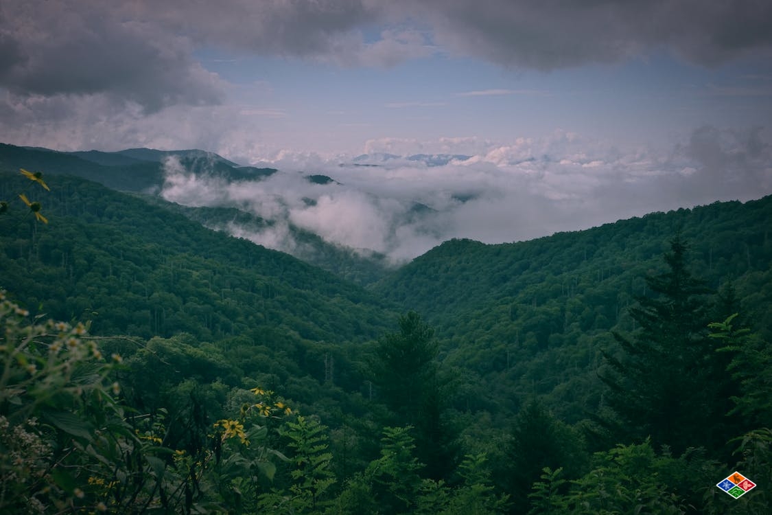 The Great Smoky Mountains Fog