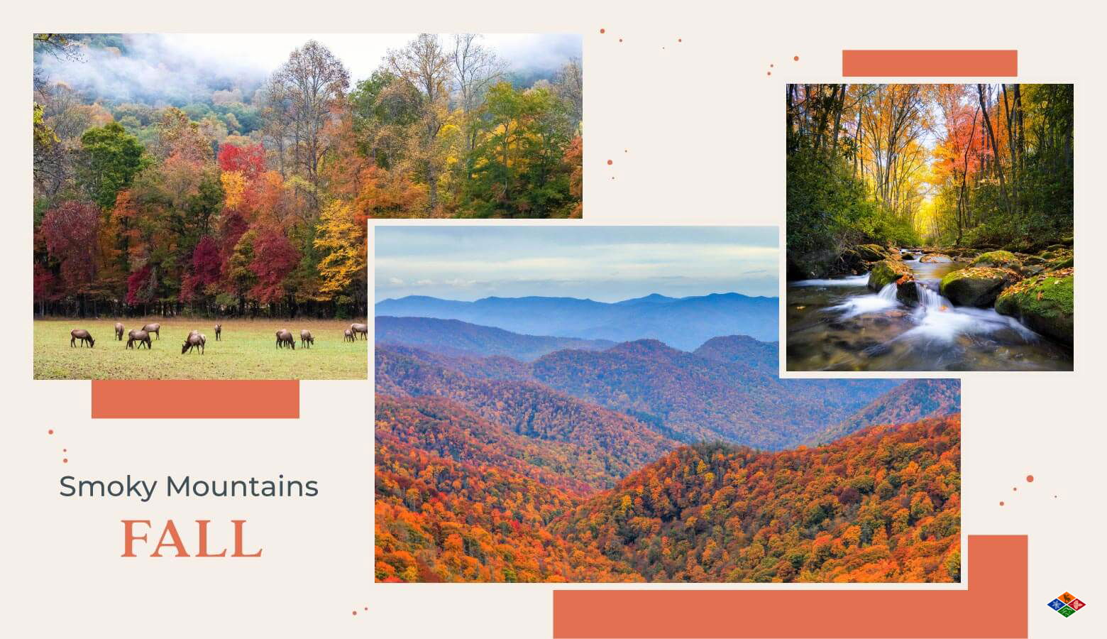 Collage of photos representing the Smoky Mountains in the fall