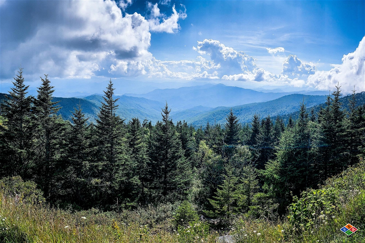 Best Time To Visit the Smoky Mountains: Get the Most Out of Your Trip