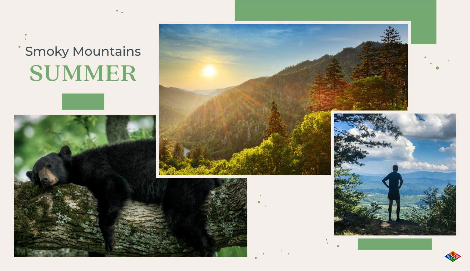 Collage of photos representing the Smoky Mountains in the summer