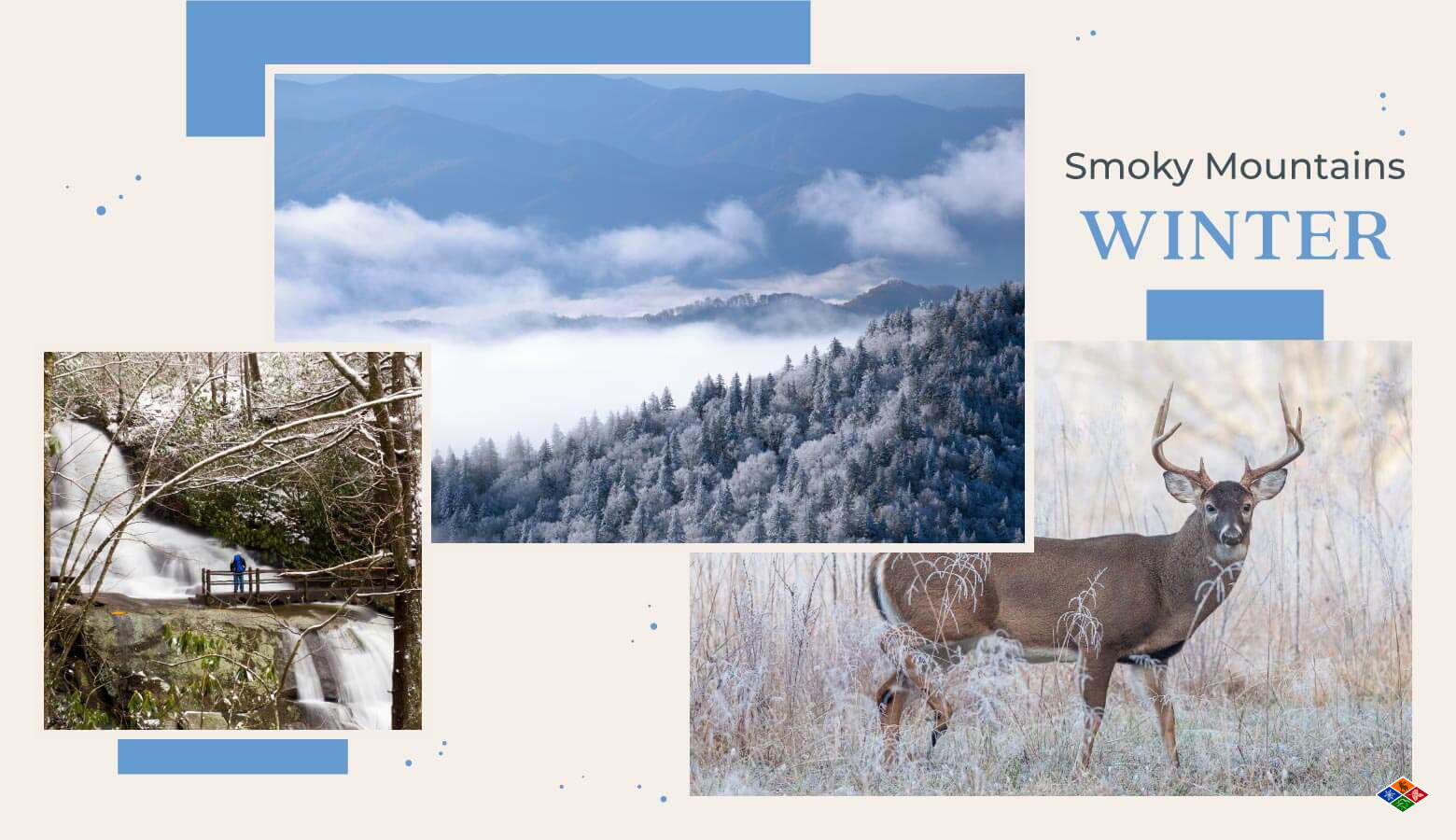 Collage of photos representing the Smoky Mountains in the winter