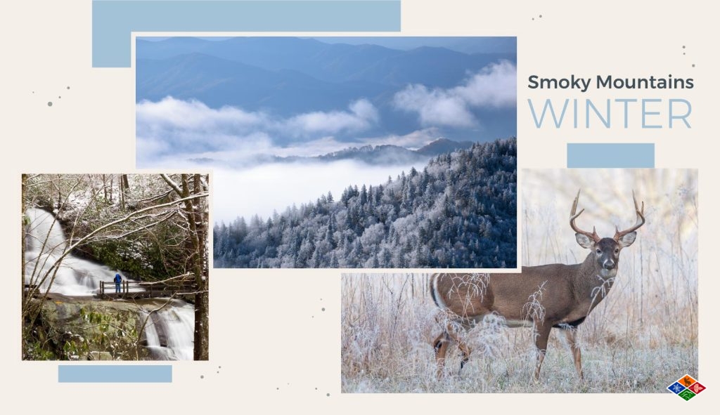 smoky-mountians-winter