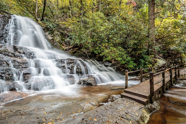 The 7  Best Waterfalls in the Great Smoky Mountains