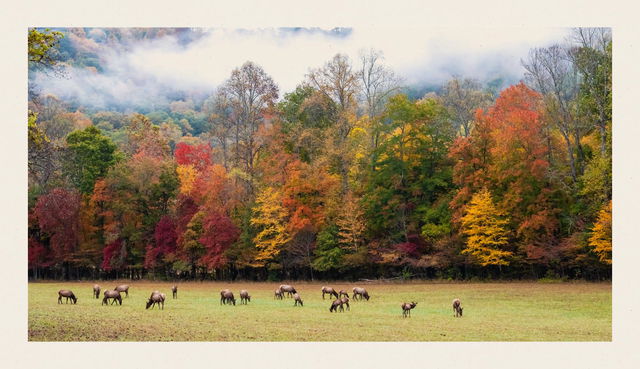 When Do the Leaves Change Colors in Gatlinburg?
