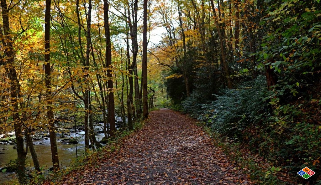 A view of the Gatlinburg Trail in Fall. 