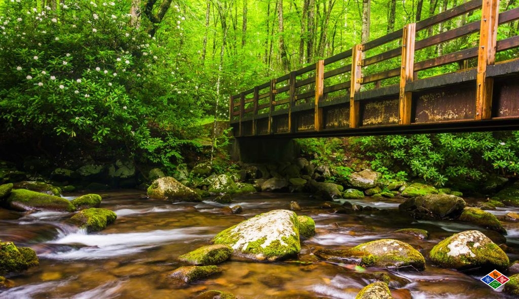 A view of the Oconaluftee River Trail that runs through the Smokies. 