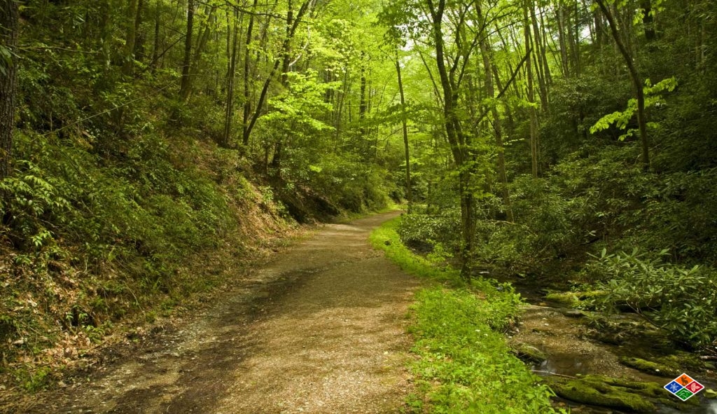 The Schoolhouse Gap Trail in Gatlinburg, TN. 