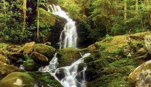 Mouse Creek Falls, sometimes called Big Creek Falls, cascades down rocks in the Great Smoky Mountain National Park. 