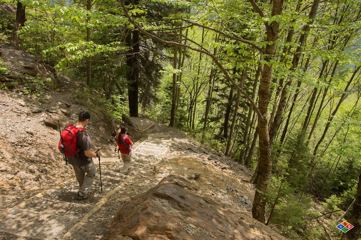 10 Gatlinburg Hiking Trails You Won’t Want To Miss in 2024