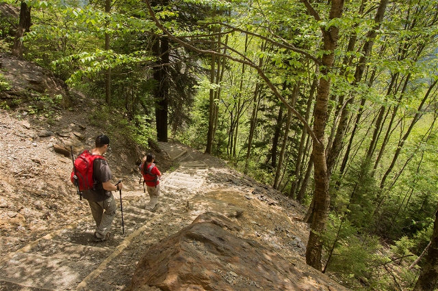 9 Gatlinburg Hiking Trails You Won’t Want To Miss in 2024