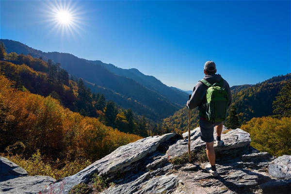 7 Easy Hikes in the Smoky Mountains for Anyone to Enjoy