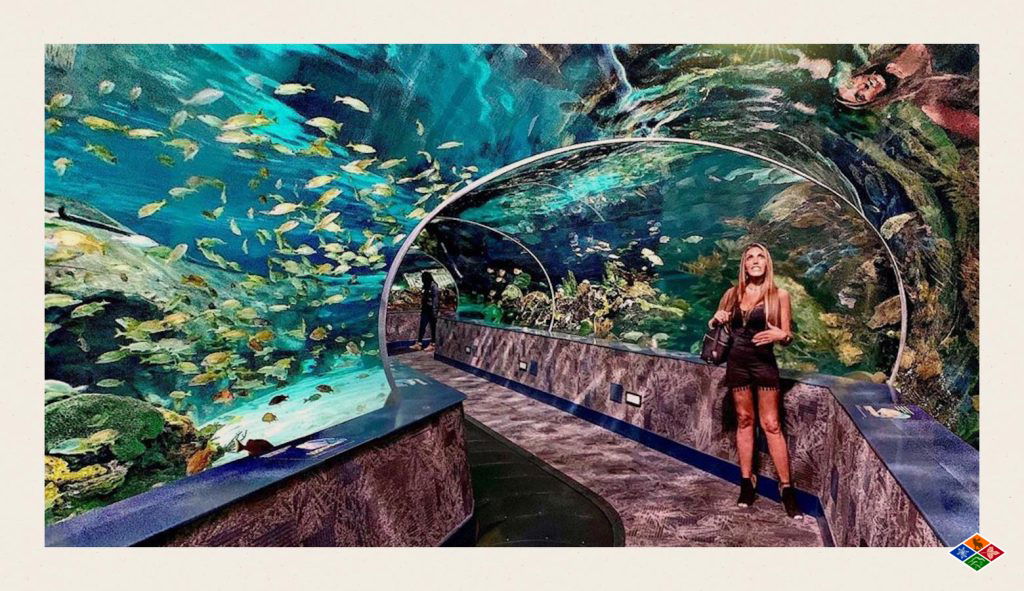 Add Ripley's Aquarium to the itinerary for your Gatlinburg bachelorette party.