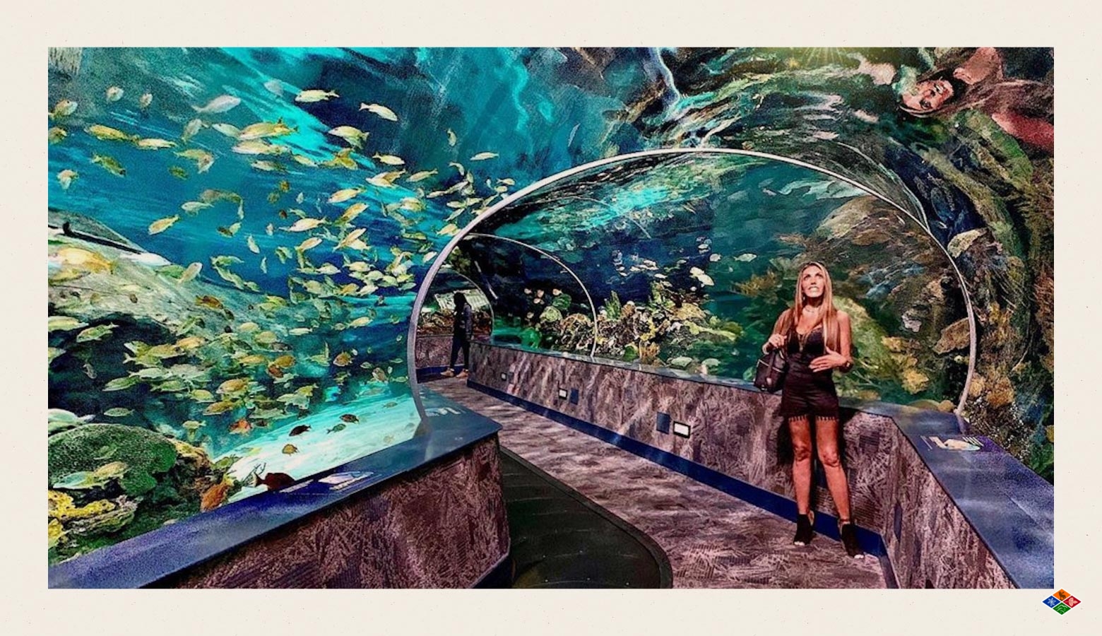 Add Ripley's Aquarium to the itinerary for your Gatlinburg bachelorette party. 