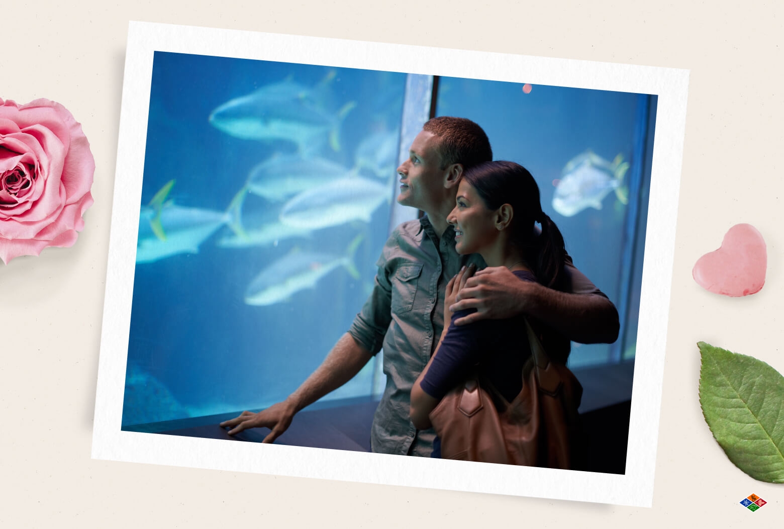 A couple looks in awe at an aquarium in Gatlinburg. 