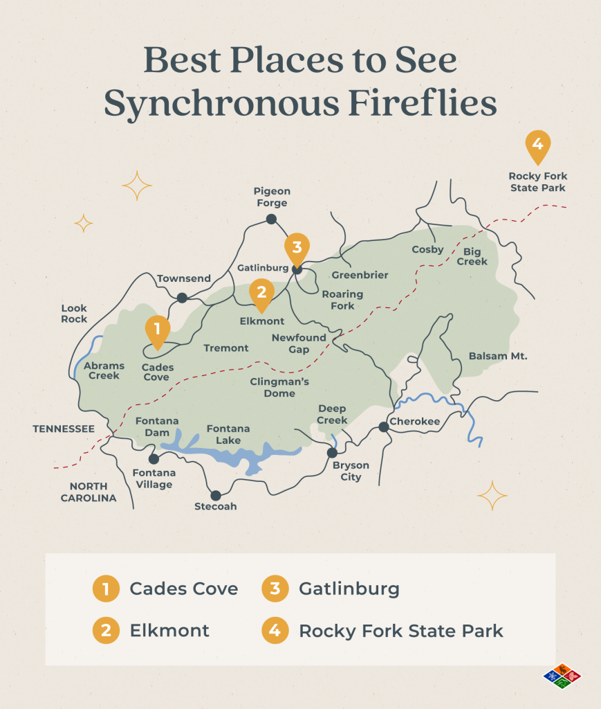 Trail map of where to see synchronous fireflies in Tennessee