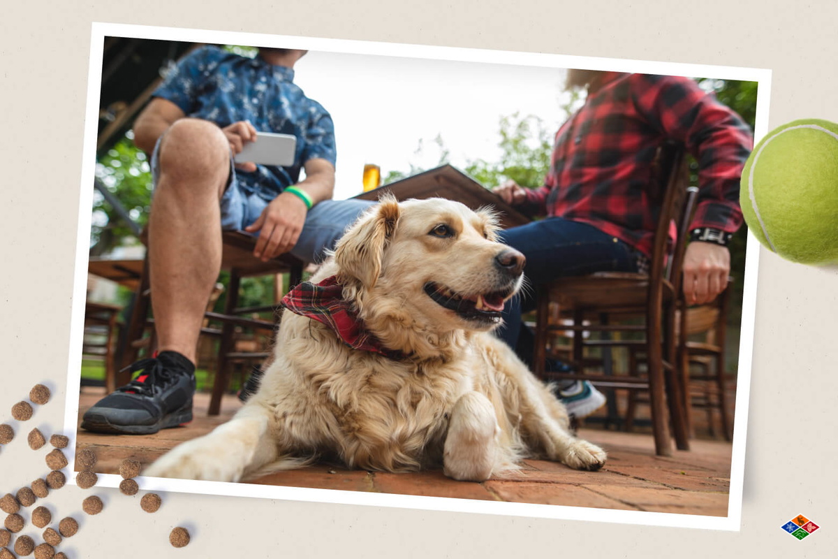 The Ultimate Pet-Friendly Cabin Packing List for Your Smoky Mountain Escape