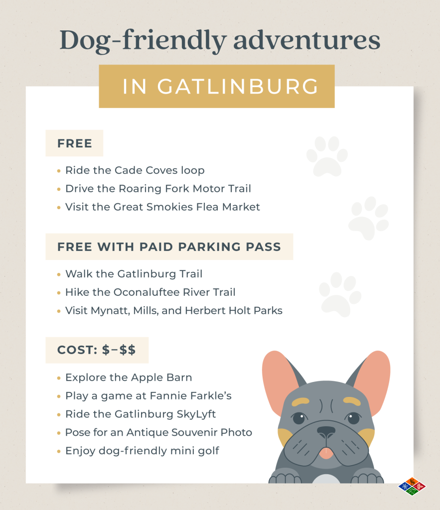 Dog-friendly activities in Gatlinburg, activities listed by free, free with parking, and paid.