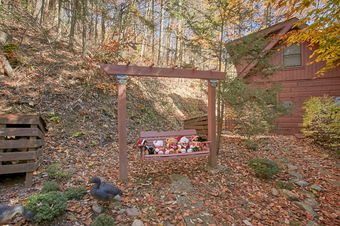 Cozy Creek Photo